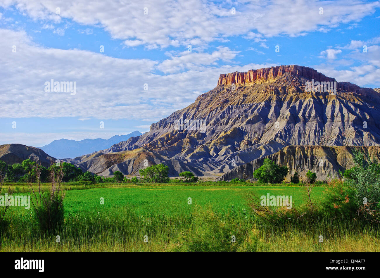 Terres agricoles en bordure de désert, le long de la route 24 près de Capital Reef National Park, Utah, United States. Banque D'Images