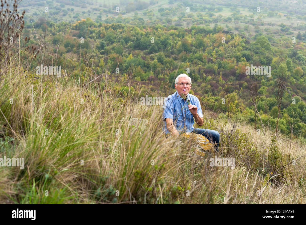 Happy senior man relaxing dans l'herbe et profiter de la nature verte. Banque D'Images