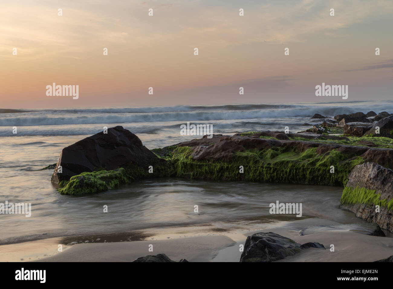 Les rochers et les petites plantes vertes et les vagues de l'océan à l'arrière-plan pendant le lever du soleil Banque D'Images