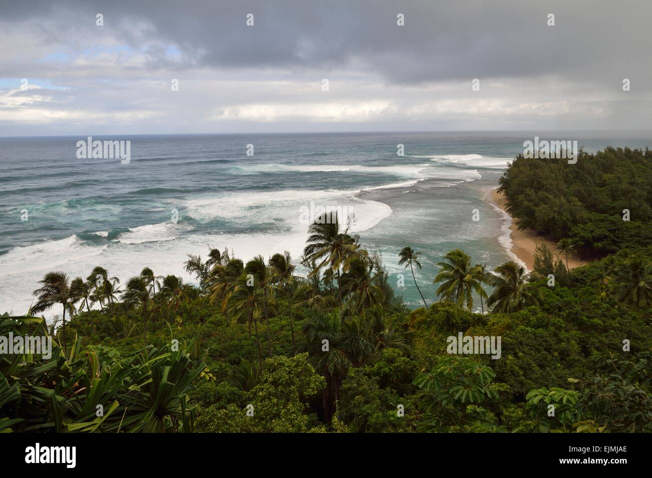 Le long de la Kalalau trail de la région de la côte de Na Pali Kauai Hawaii pendant une tempête. Banque D'Images