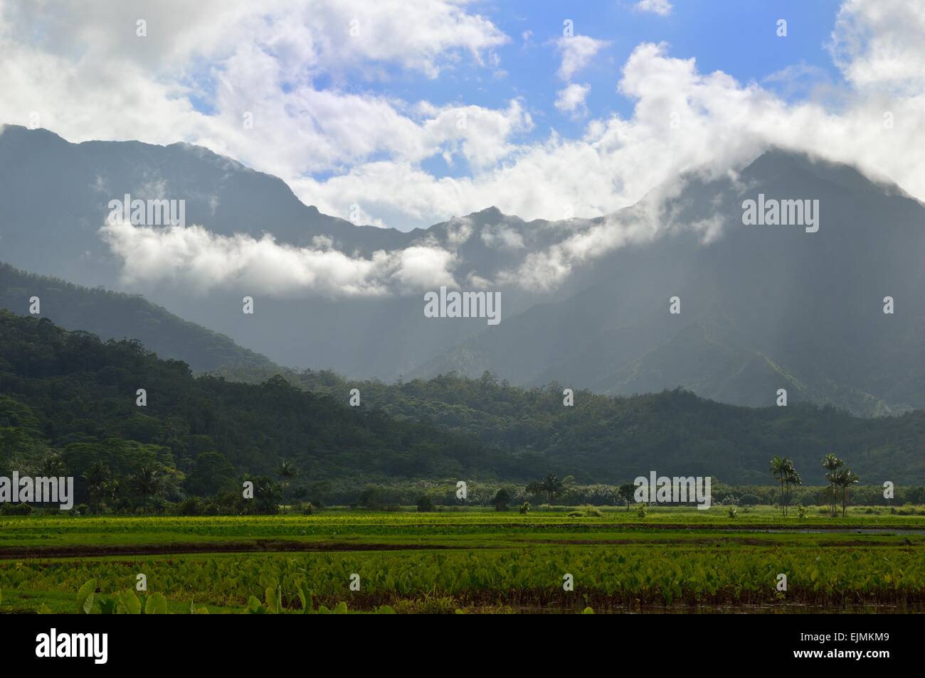 Ranch terre et vue magnifique sur la montagne le long de la route près de l'Haena Kuhio parc sur la côte nord de Kauai Hawaii Banque D'Images