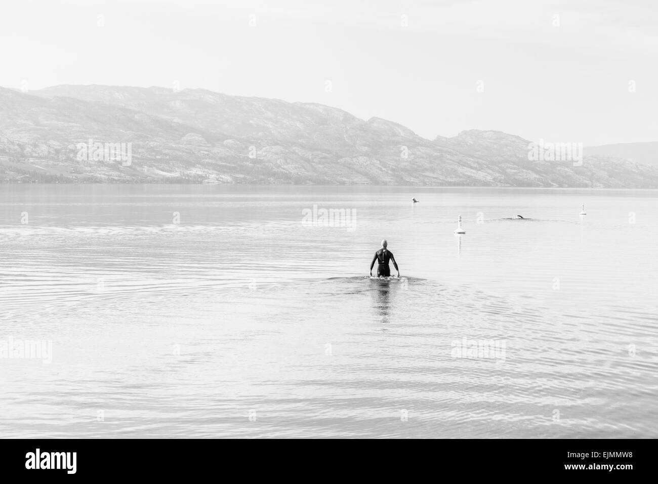 Le matin, un nageur dans une combinaison de chefs dans le lac par un froid matin gris de sa baignade. Banque D'Images