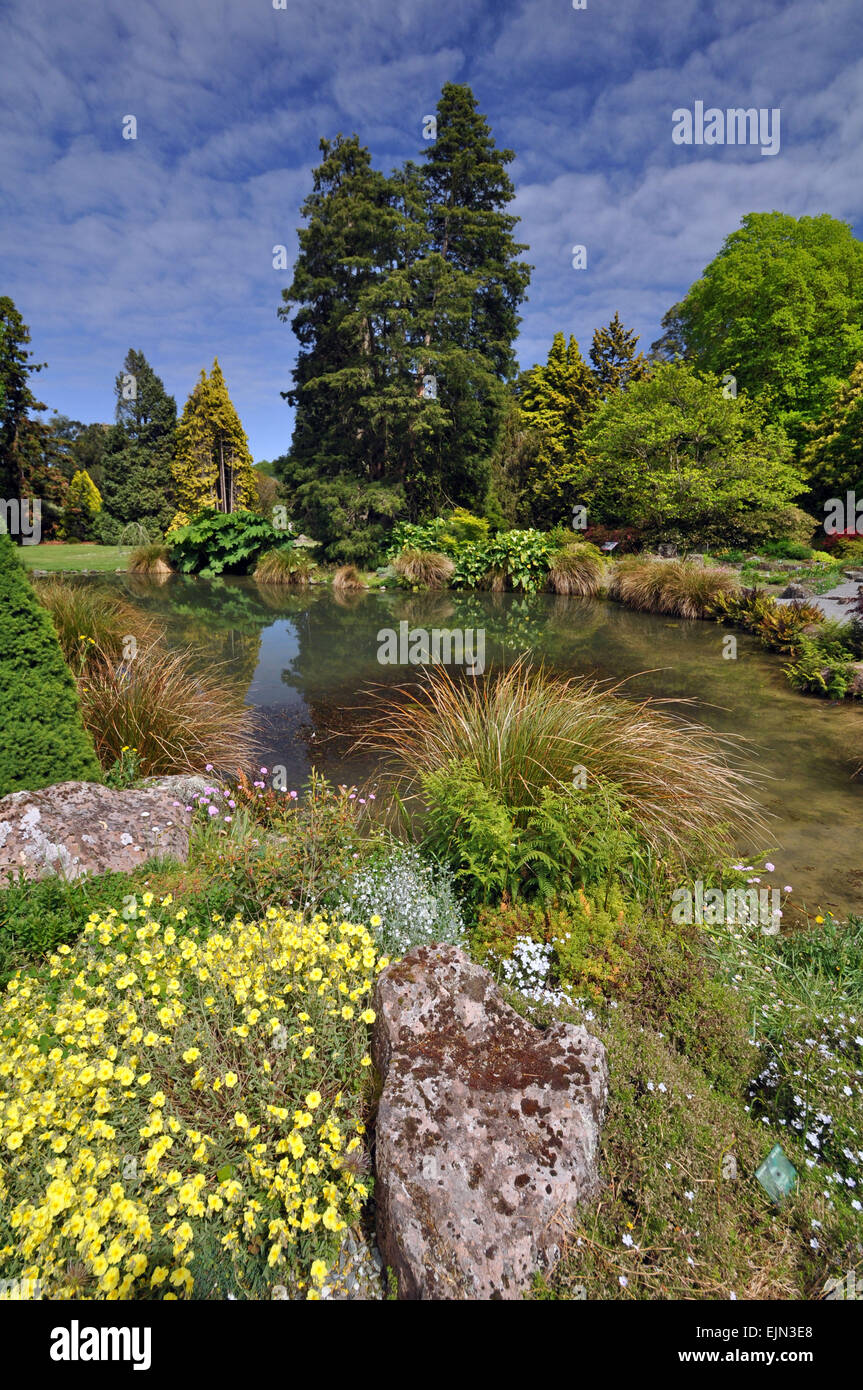 Construit dans le style anglais en 1868, le Jardin botanique, à Wellington en Nouvelle-Zélande, est l'accueil de ce beau jardin de rocaille. Banque D'Images