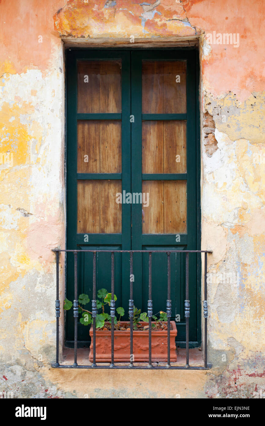 Fenêtre avec plante dans le quartier historique de Colonia del Sacramento. L'Uruguay. Banque D'Images