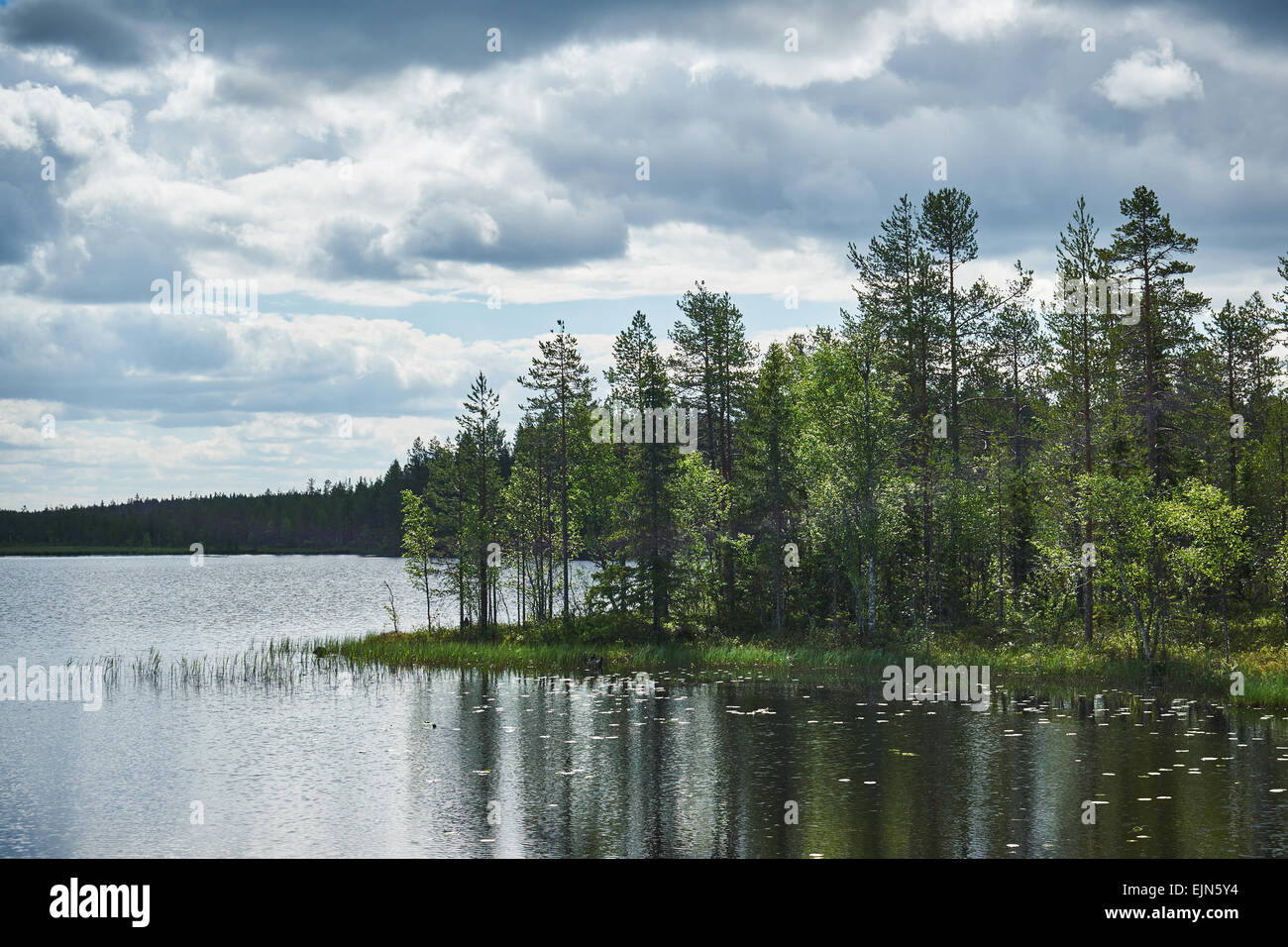 Lac finlandais au printemps, avec des arbres et un ciel nuageux Banque D'Images