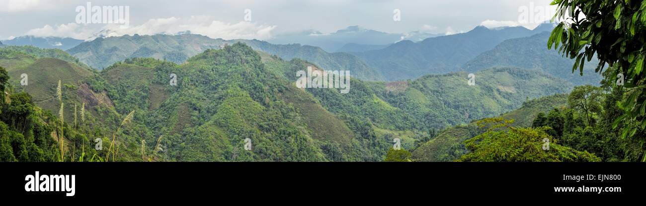 Panorama pittoresque de collines vertes dans l'Arunachal Pradesh, Inde Banque D'Images