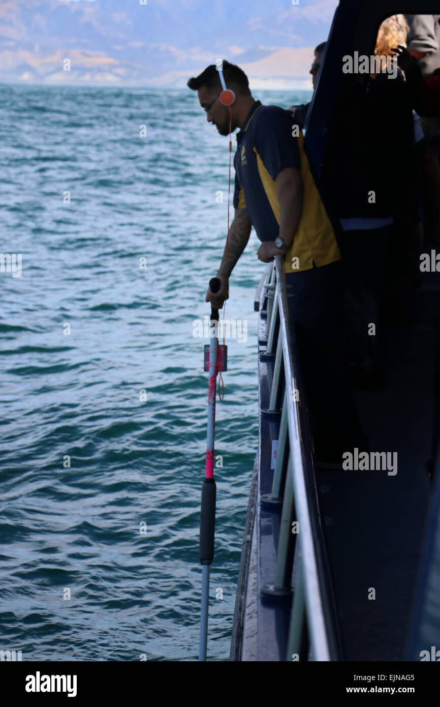 Bateau d'observation des baleines à l'aide de l'équipage avec l'hydrophone touristes Kaikoura Nouvelle-zélande côte Banque D'Images