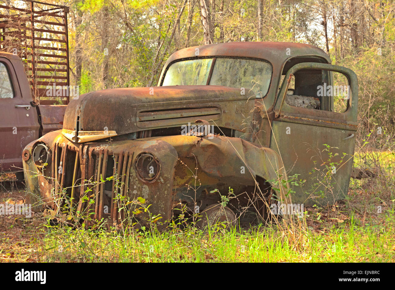 Cimetière de voiture en Floride. Plusieurs anciens, défunte et Rusty automobiles ont été soigneusement mis de côté pour une décroissance avec honneur. Banque D'Images