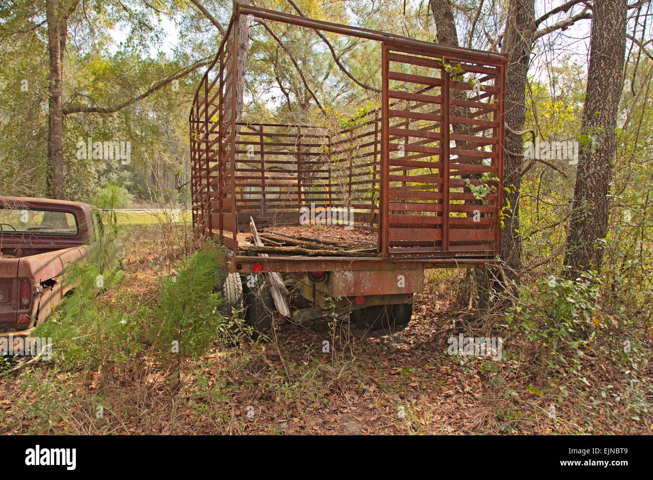 Cimetière de voiture en Floride. Plusieurs anciens, défunte et Rusty automobiles ont été soigneusement mis de côté pour une décroissance avec honneur. Banque D'Images