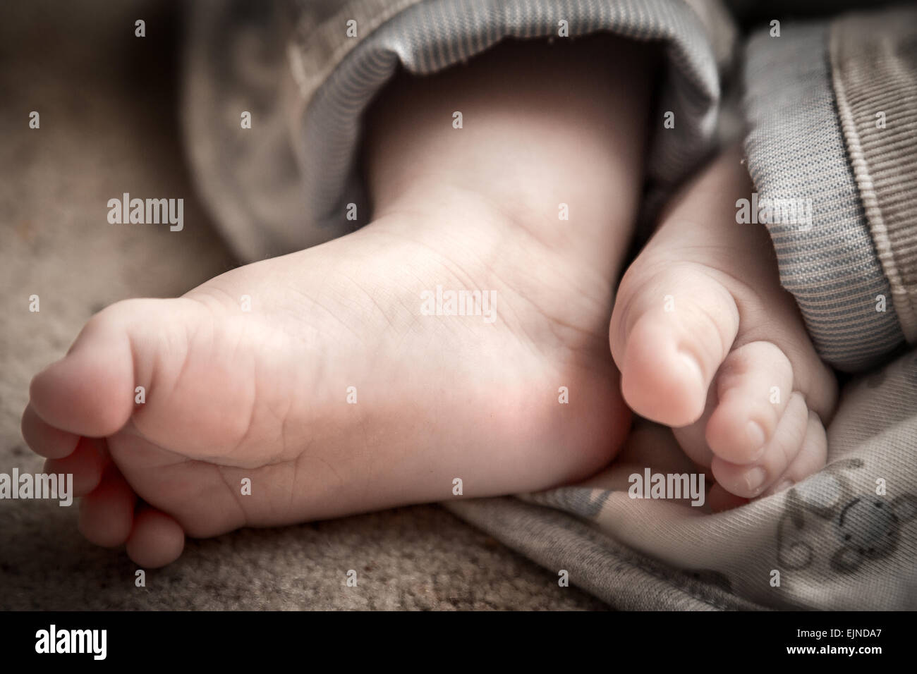 Pieds de bébé Banque D'Images