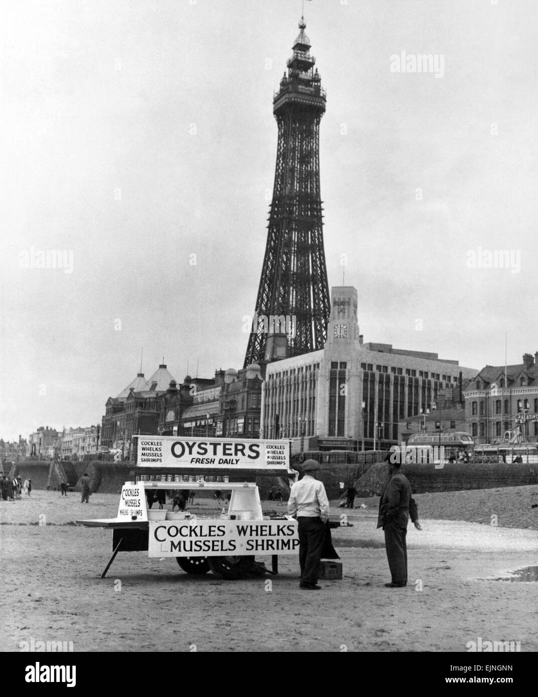 Une huître vente de décrochage des crustacés sur la plage en face de la célèbre Tour de Blackpool. Vers 1960 Banque D'Images