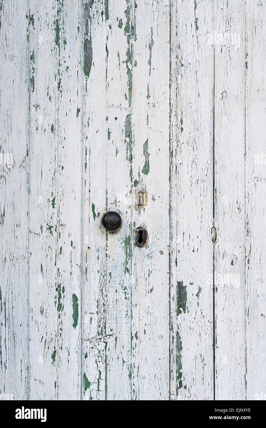 Vieilles portes en bois peint en blanc avec la texture de la peinture Banque D'Images