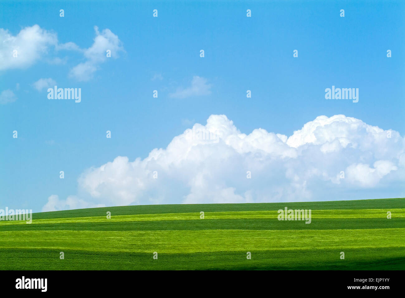 Les champs agricoles au printemps avec cumulus humilis nuages allemagne europe Banque D'Images