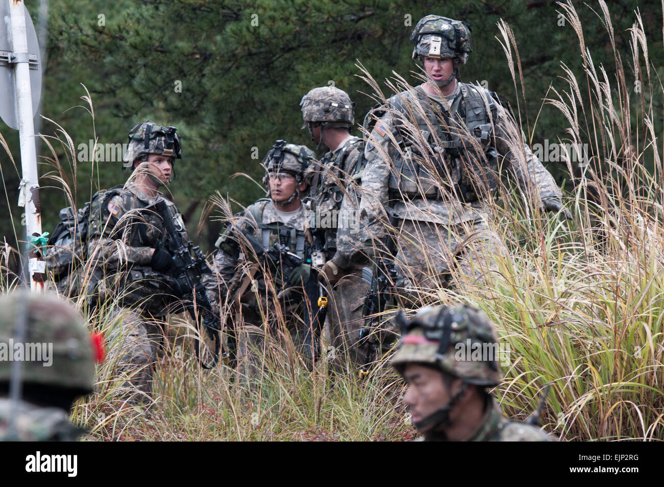 Soldats du 1er Bataillon, 14e Régiment d'infanterie, 2e Stryker Brigade Combat Team et des soldats de l'auto-défense japonaise mars à leur prochain objectif au cours d'un exercice d'entraînement sur le terrain le 31 octobre dans le cadre du bouclier d'Orient 2012. Bouclier d'Orient est un événement de formation bilatérale annuelle tenue au Japon entre les forces américaines et l'auto-défense japonaise de favoriser une relation de travail entre les deux partenaires du Pacifique. Banque D'Images