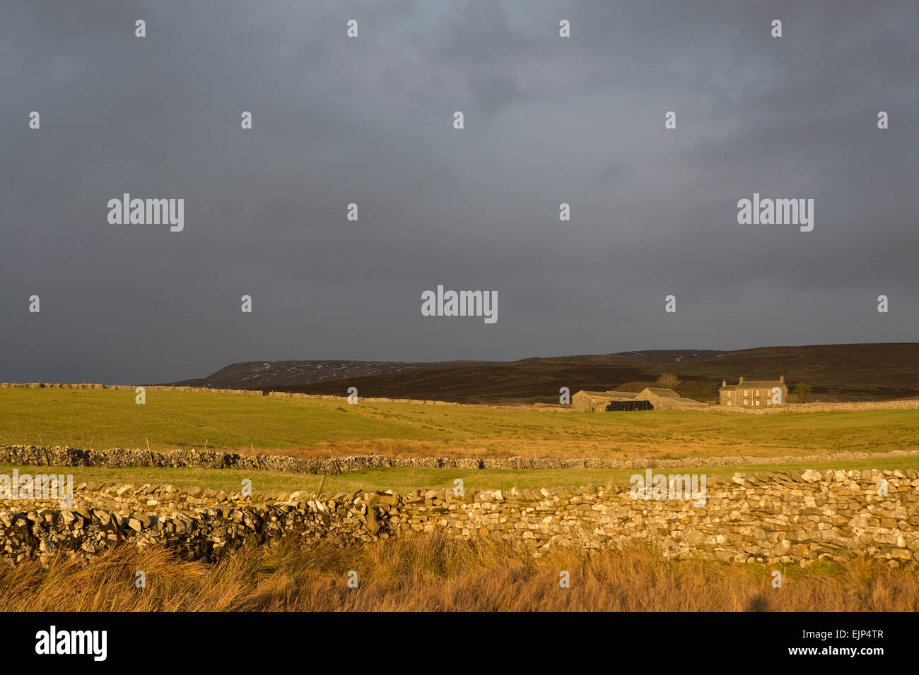 Yorkshire Dales National Park scenery près de Pen-y-Ghent entre Horton dans Ribblesdale et Malham Banque D'Images