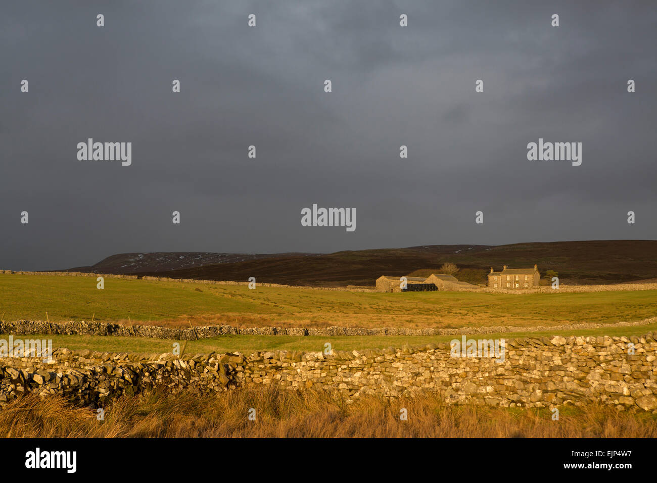 Yorkshire Dales National Park scenery près de Pen-y-Ghent entre Horton dans Ribblesdale et Malham Banque D'Images