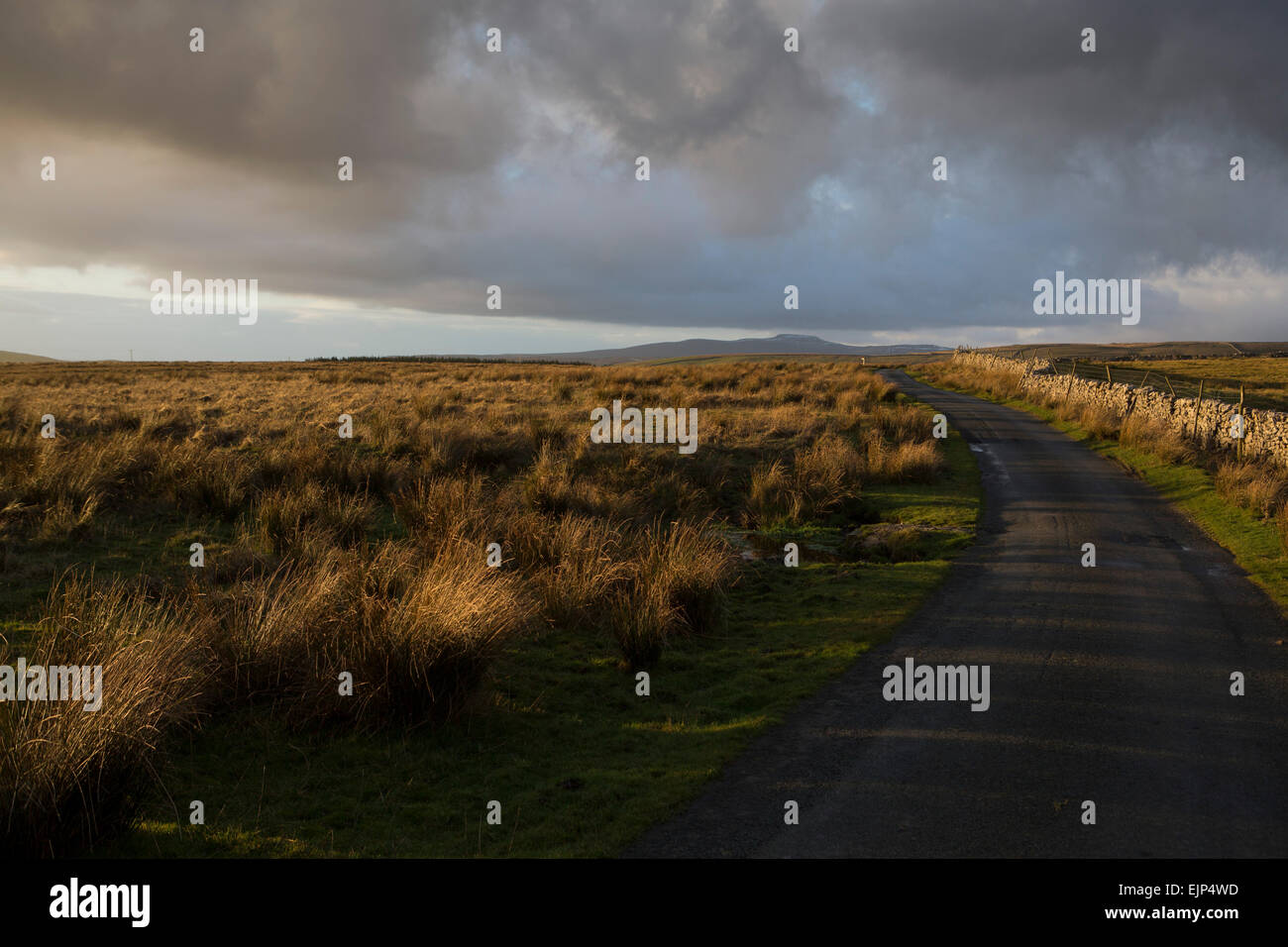 Yorkshire Dales National Park scenery près de Pen-y-Ghent entre Horton dans Ribblesdale et Malham - moorland road Banque D'Images