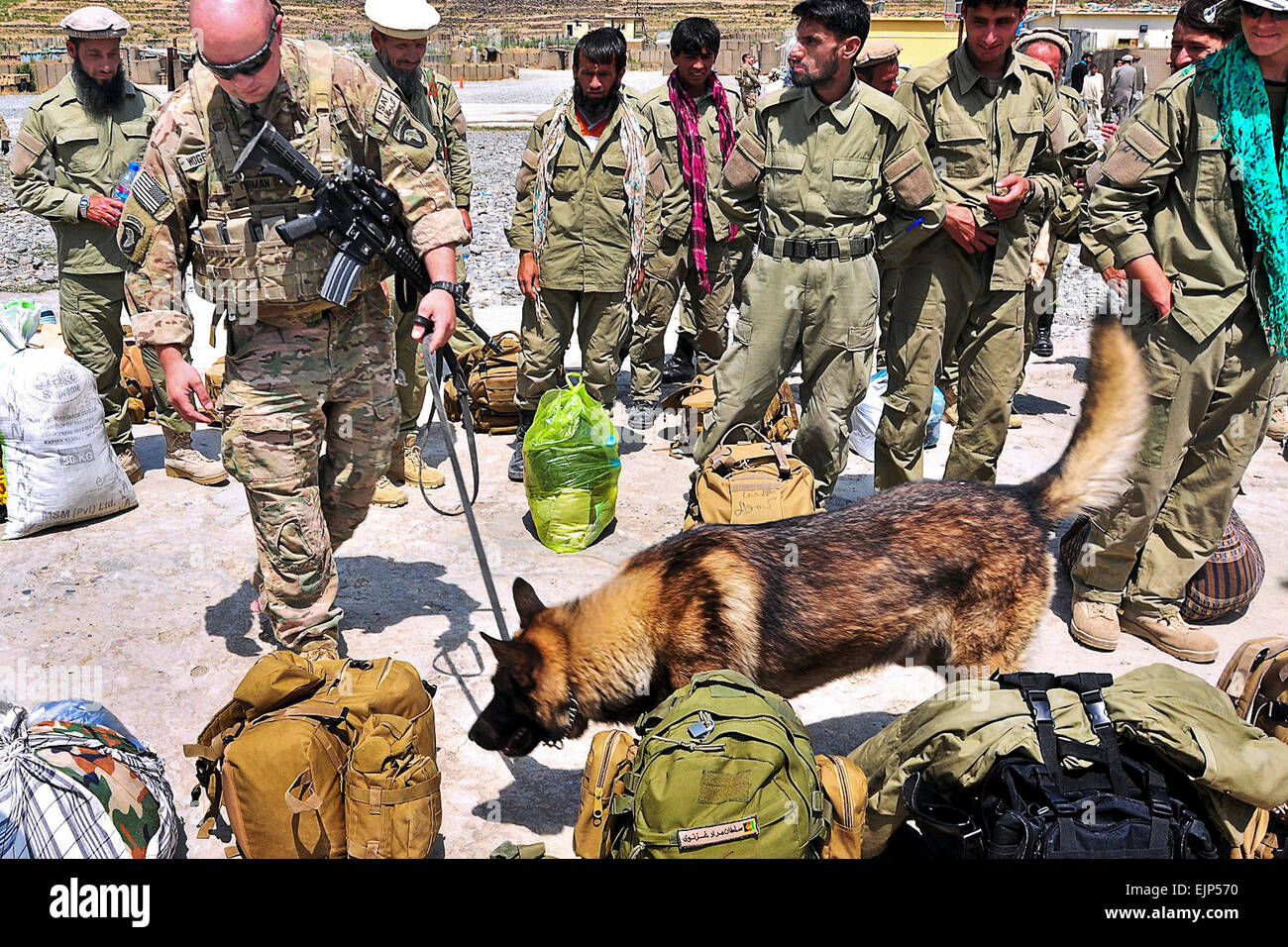 Un soldat américain et le s.. Alex, son chien de travail militaires formés pour détecter des explosifs, vous pouvez sacs de a récemment obtenu les agents de police locale afghane sur l'ancienne base d'Bostik dans la province de Kunar, 5 juin 2013. À compter du 19 juin 2013, les forces nationales afghanes a assumé la responsabilité de la sécurité dans leur pays. Le Sgt. Bretagne Armstrong Banque D'Images
