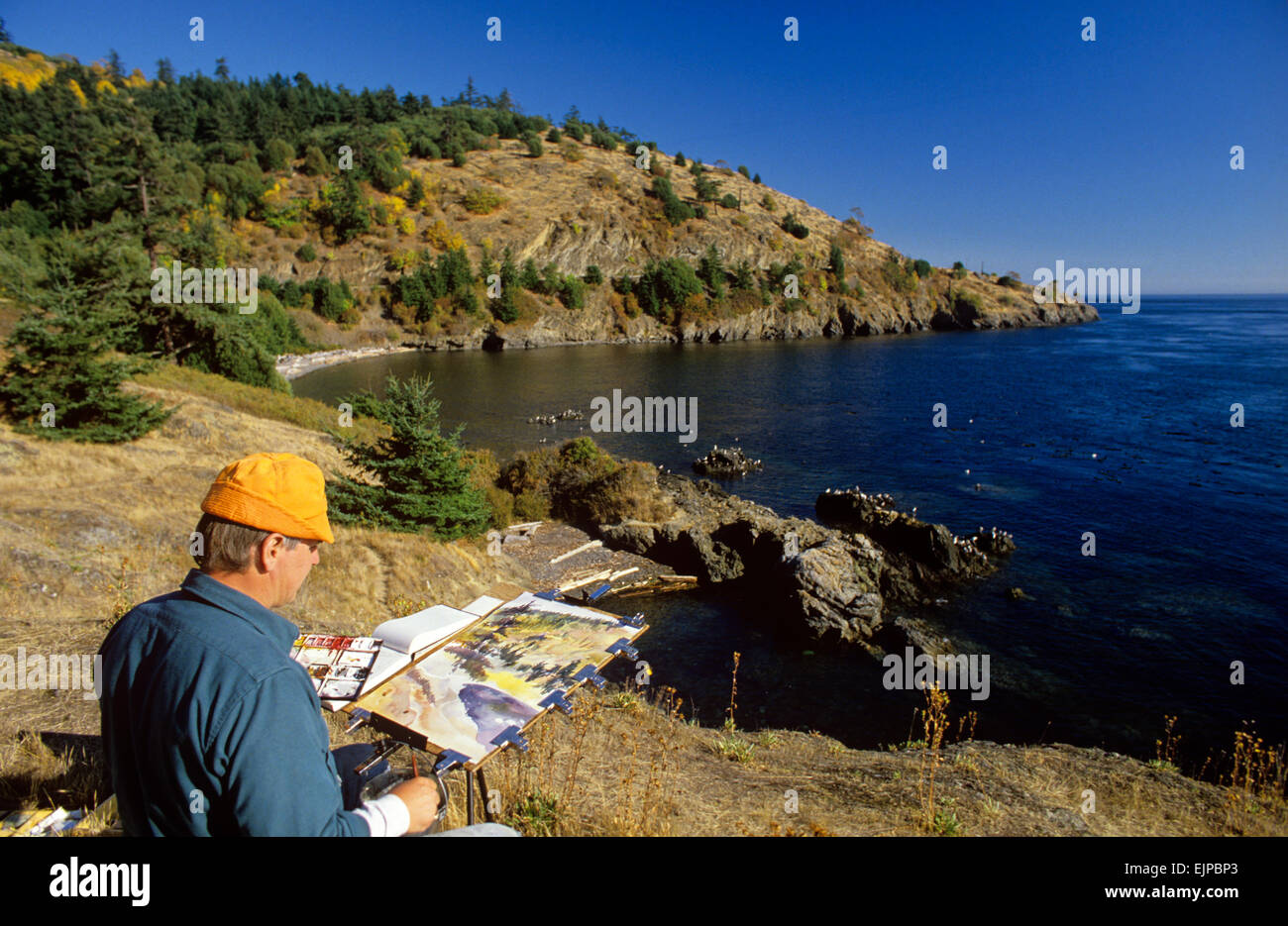 La côte pittoresque le long de l'île San Juan's Westside Road est un lieu de prédilection pour les artistes, Washington, USA. Banque D'Images