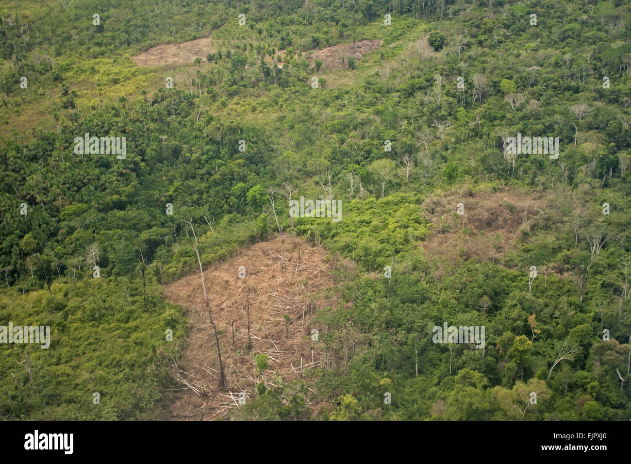 Vue aérienne de la destruction des forêts tropicales, défrichement pour l'agriculture, l'Amazonie péruvienne, le Pérou, Septembre Banque D'Images