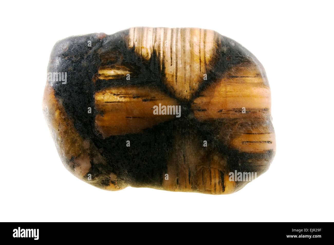 Chiastolite, howdenit, pierre semi-précieuse. Banque D'Images