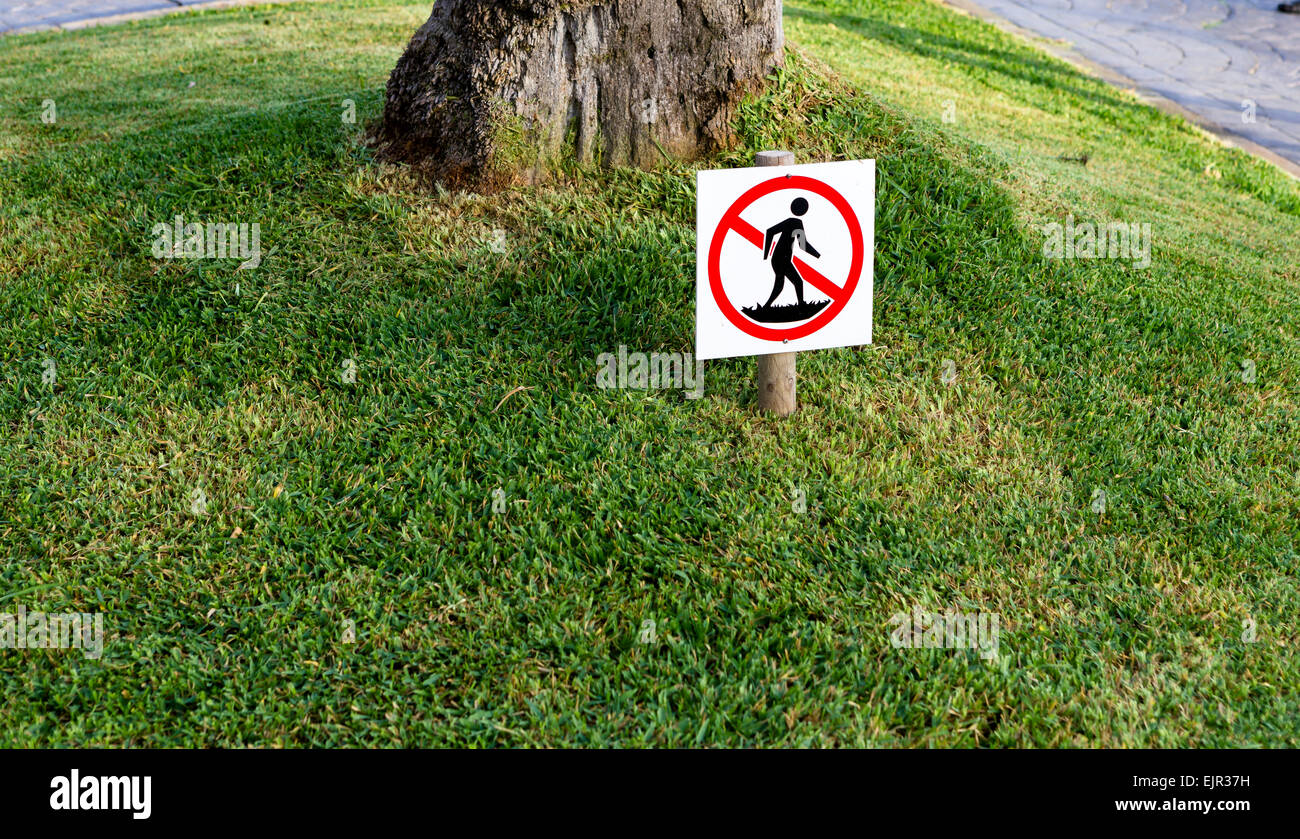 Aucun signe d'intrusion dans l'herbe, Santanyi, Majorque, Îles Baléares, Espagne Banque D'Images