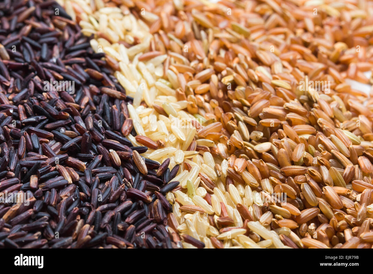 Trois types de variétés de riz brun, noir, marron et jaune Photo Stock ...