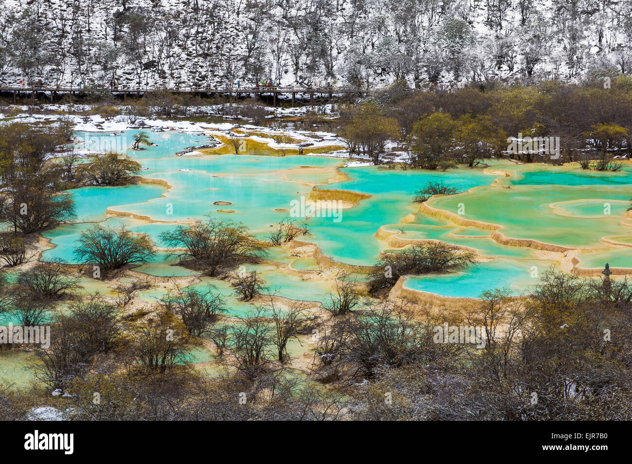 Région de Huanglong avec étang vert en hiver neige saison, Sichuan, Chine Banque D'Images
