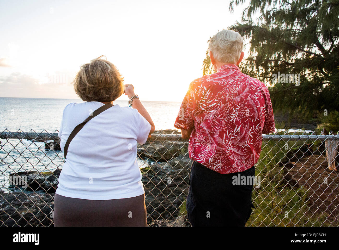 Vieux couple admiring vue panoramique sur ocean Banque D'Images