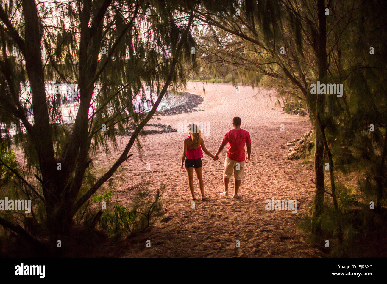 Couple holding hands on beach Banque D'Images