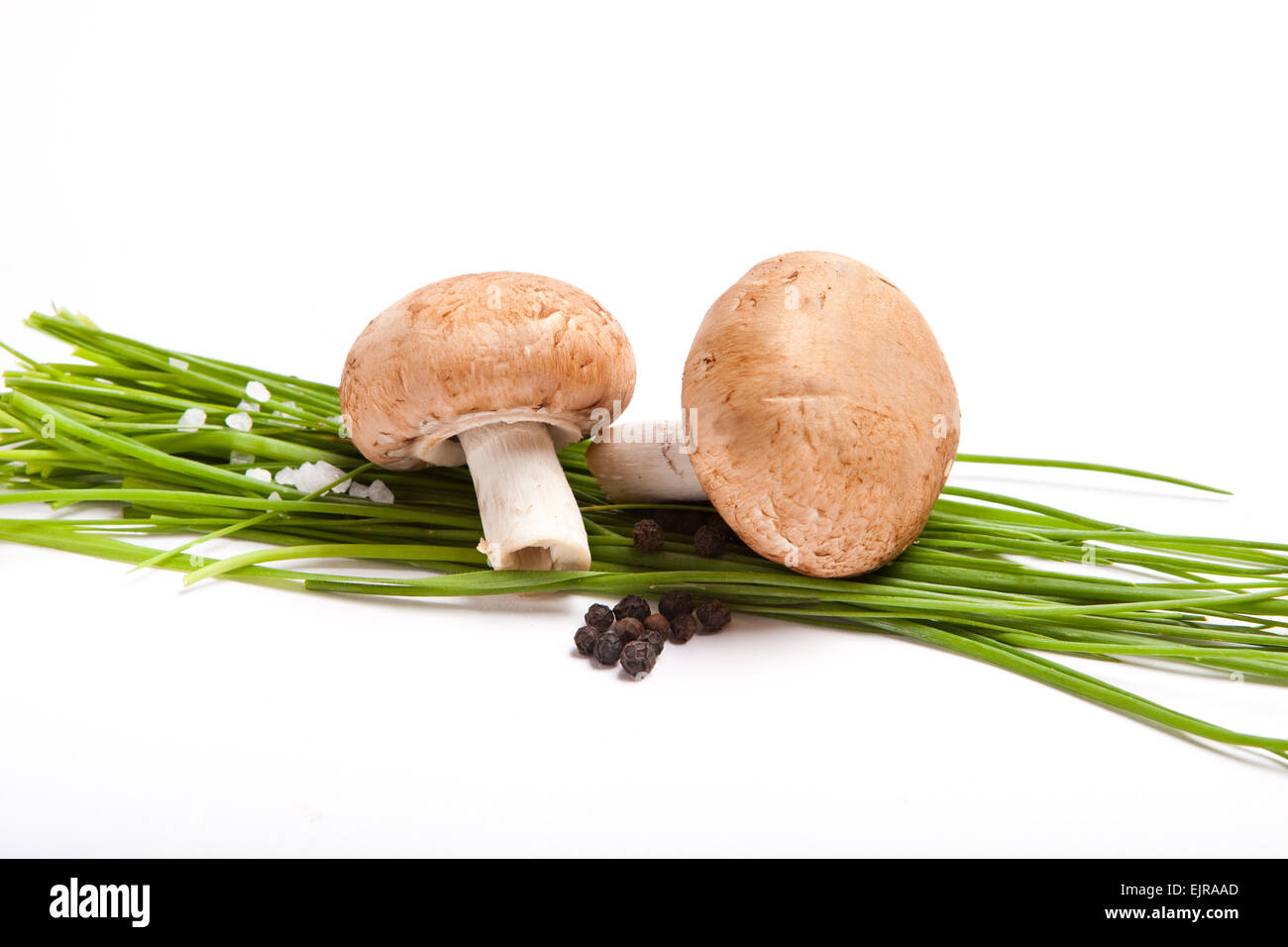 Deux matières brown champignon, sur un bouquet de persil frais, poivre et sel autour, fond blanc, Banque D'Images
