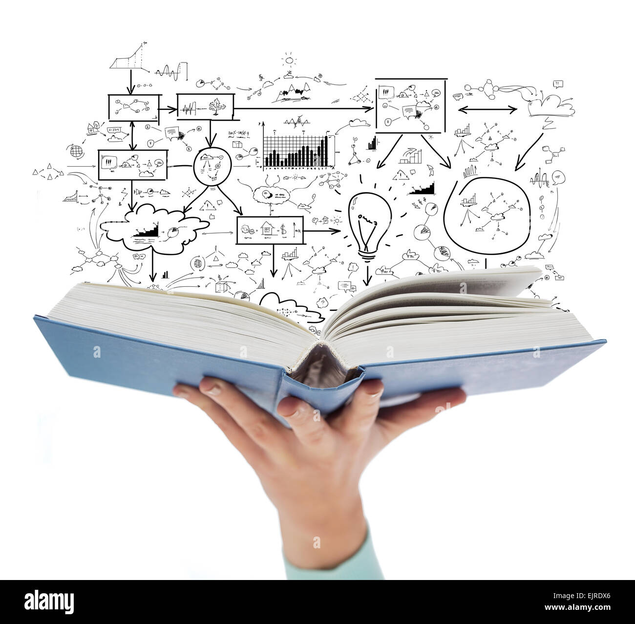 Close up of female hand holding open book Banque D'Images