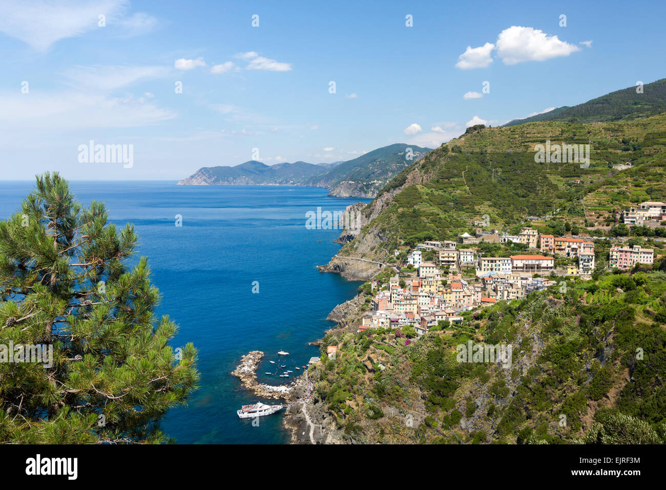 Riomaggiore clifftop village, Cinque Terre, Ligurie, Italie, site du patrimoine mondial de l'UNESCO Banque D'Images