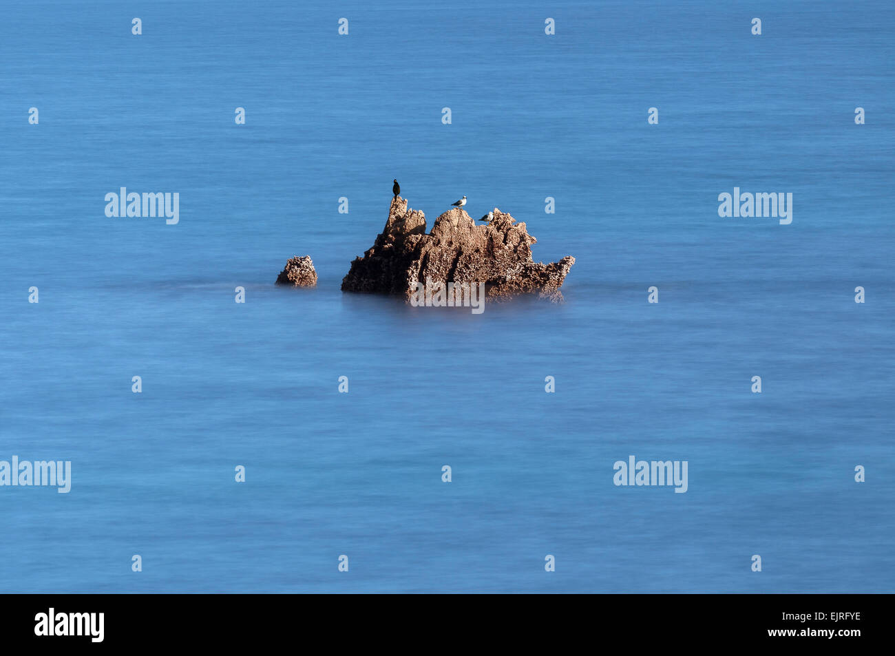 Rochers dans la mer avec les mouettes au lever du soleil sur la côte de la région de Isla, Cantabria, ESPAGNE Banque D'Images