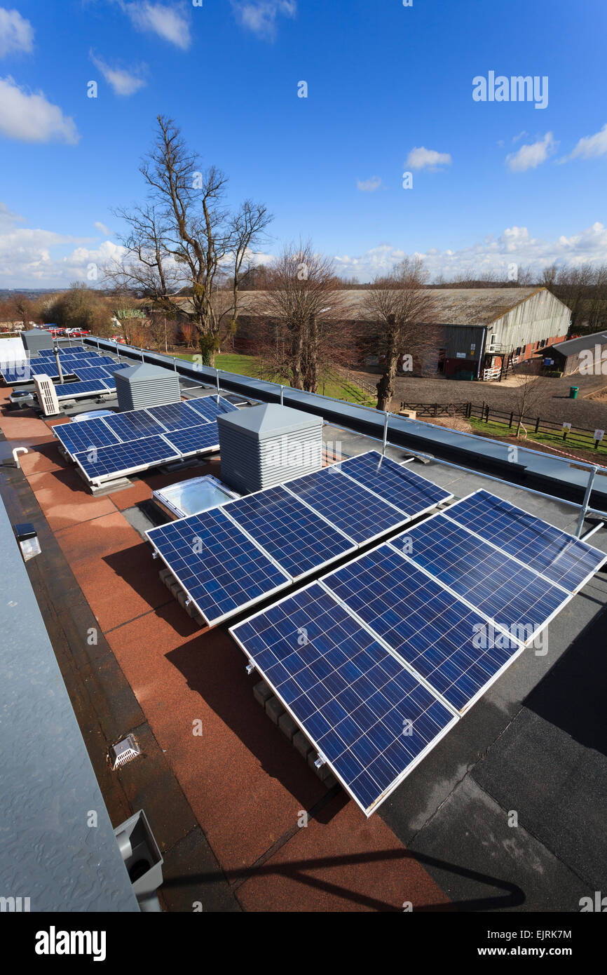 Rangée de cellules photovoltaïques sur la toiture du bâtiment du collège moderne Banque D'Images