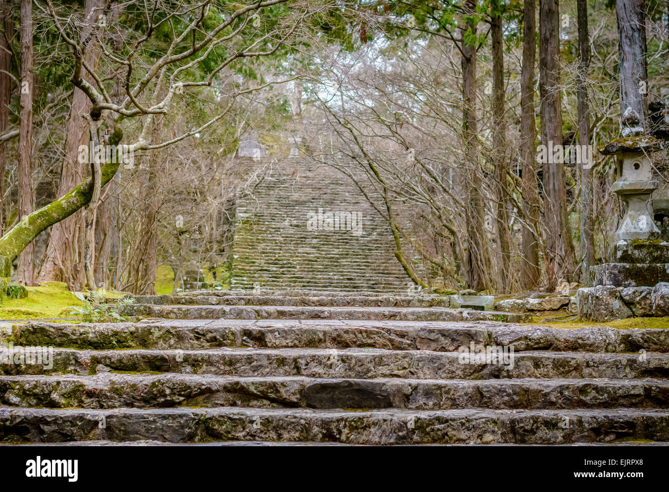 Escaliers en pierre près d'un temple dans les montagnes de Kochi au Japon. Banque D'Images