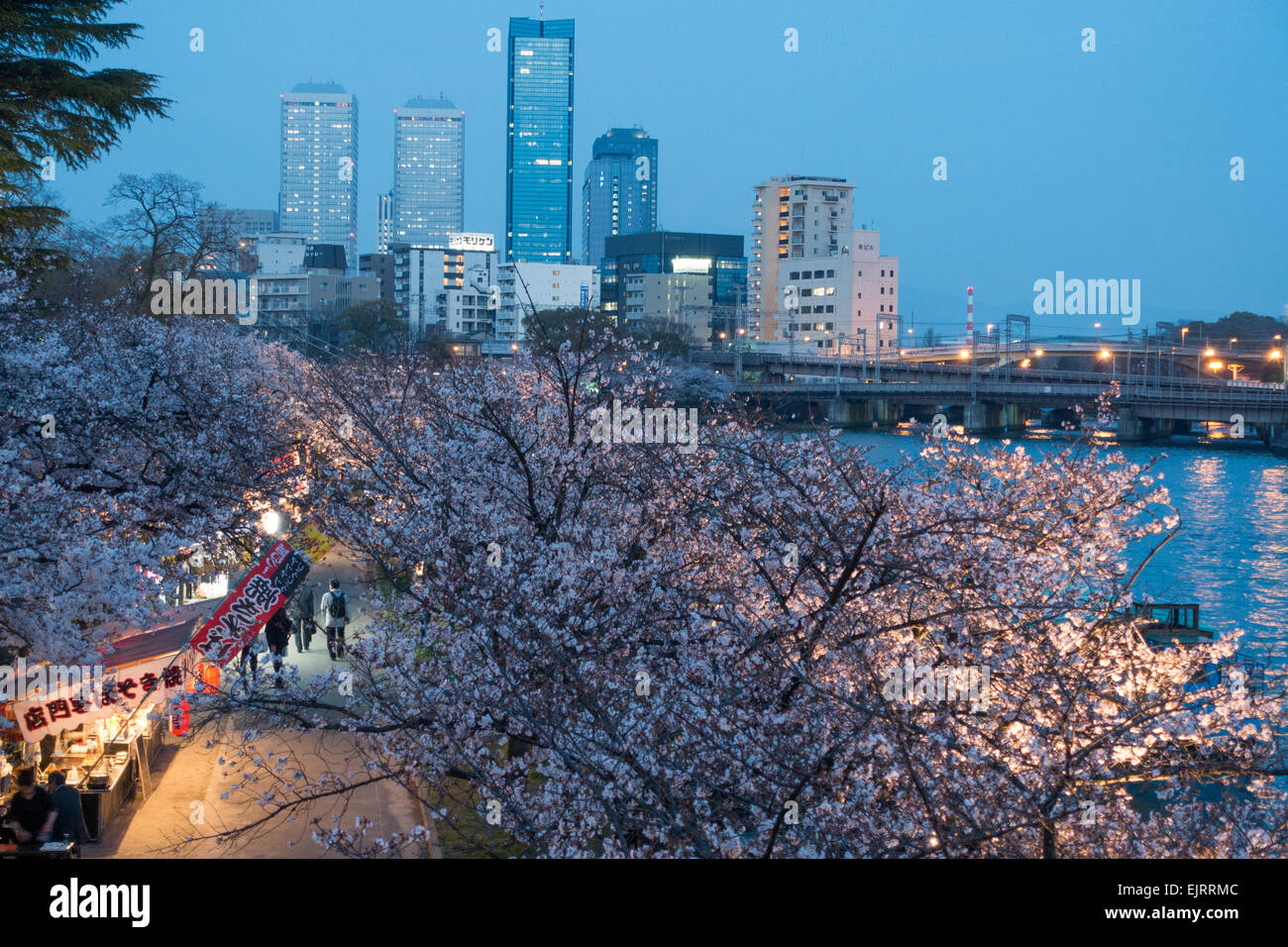 Osaka, Japon. Mar 31, 2015. Photo prise le 31 mars 2015 montre cherry blossom à Osaka, Japon, le 31 mars 2015. © Shi Sisi/Xinhua/Alamy Live News Banque D'Images