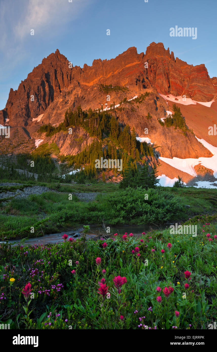 OREGON - Lever du Soleil à trois doigts sur cric de la Prairie Creek Canyon supérieur dans le Mount Jefferson Wilderness Area. Banque D'Images