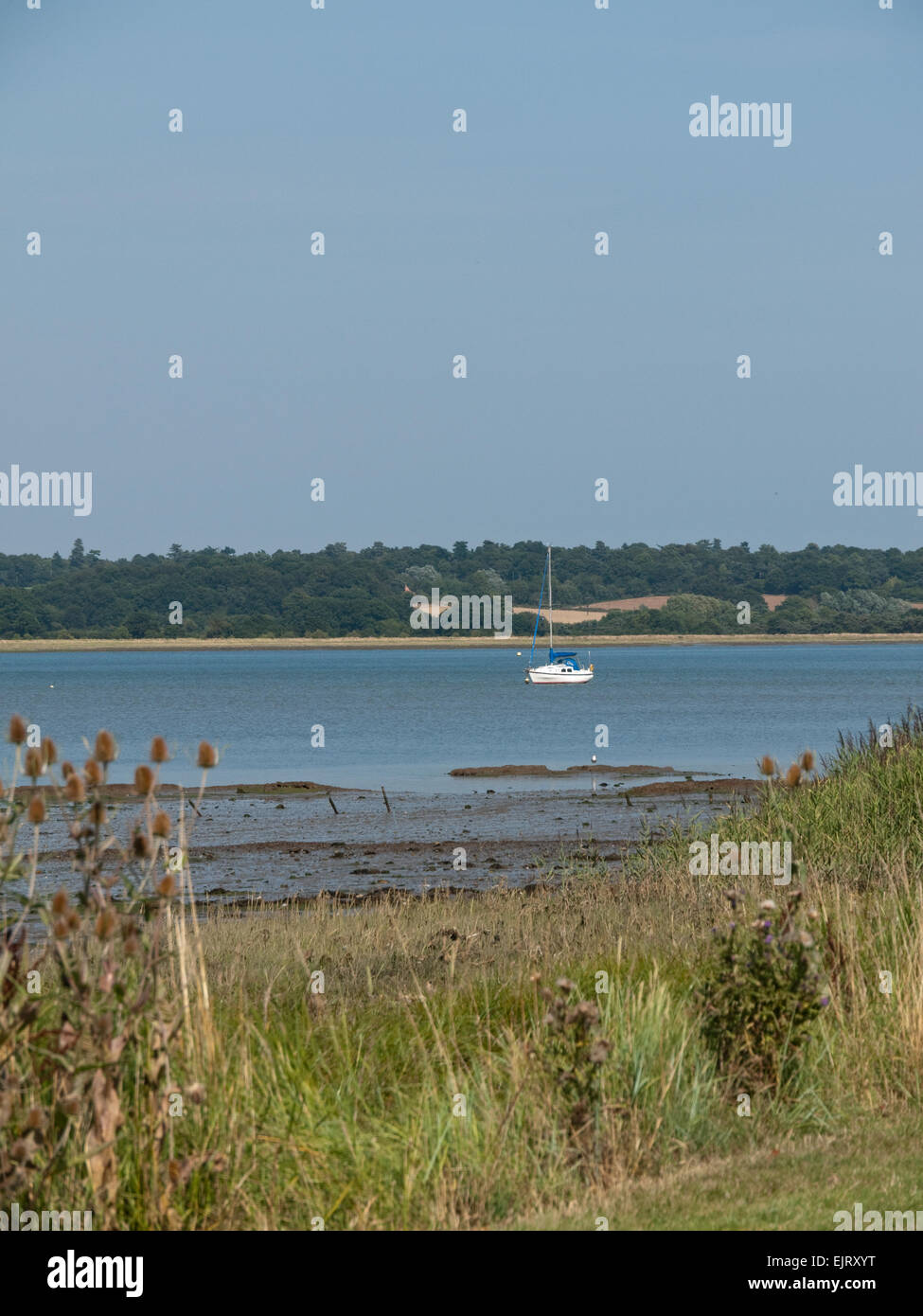 La belle rivière Stour Valley à l'estuaire Mistley dans Essex, Angleterre Banque D'Images