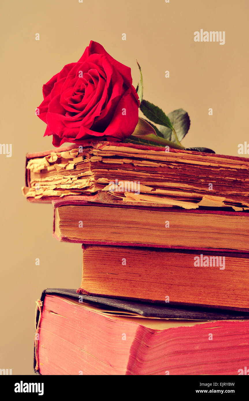 Libre d'une rose rouge sur un tas de vieux livres Banque D'Images