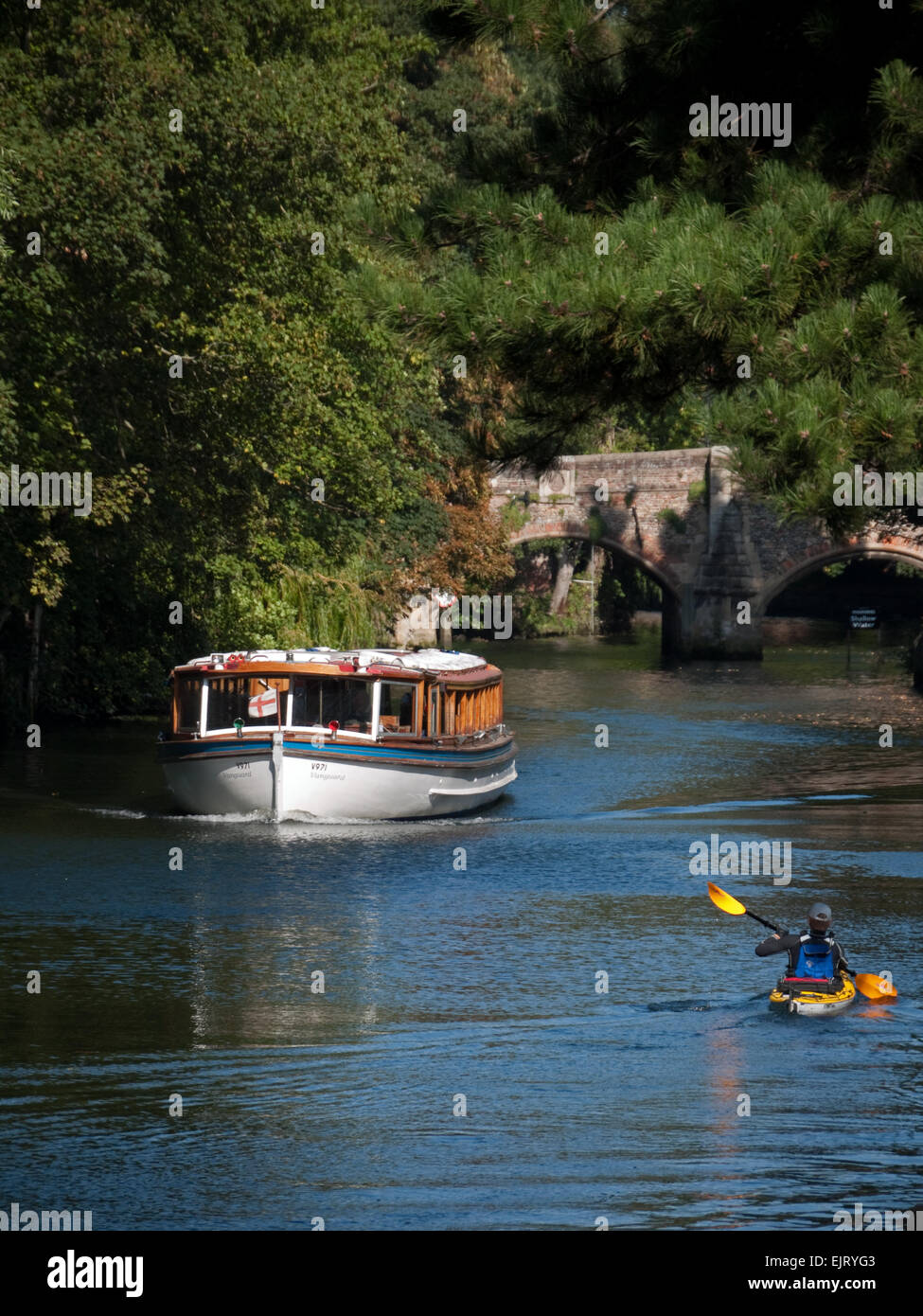 Excursion en bateau sur la rivière Wensum (partie de la Norfolk Broads) à Norwich, Norfolk, Angleterre Banque D'Images