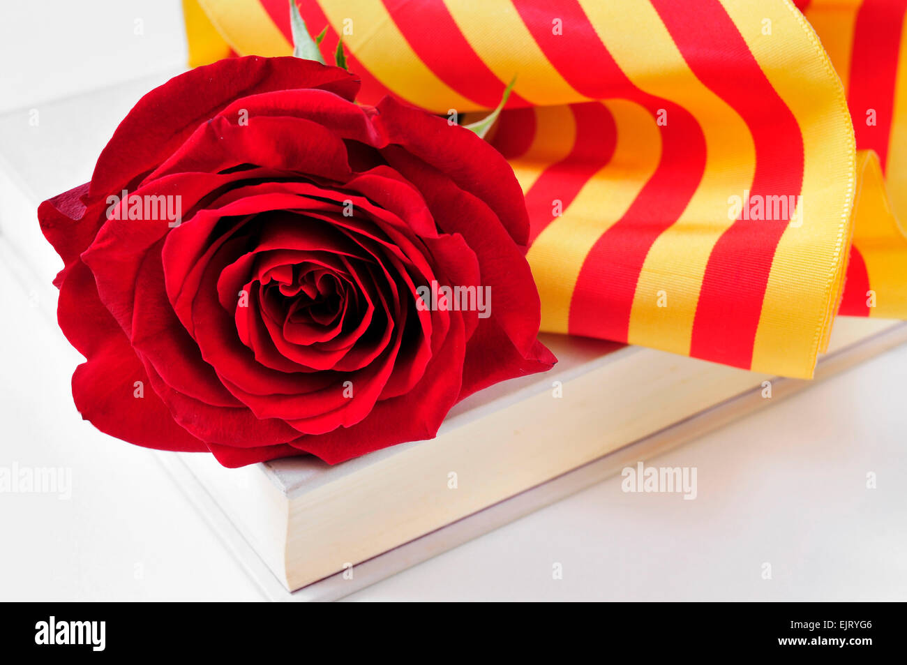 Une rose rouge et le drapeau catalan sur un livre pour Sant Jordi, le Saint Georges 24, lorsqu'il est tradition de donner des roses rouges et réservez Banque D'Images