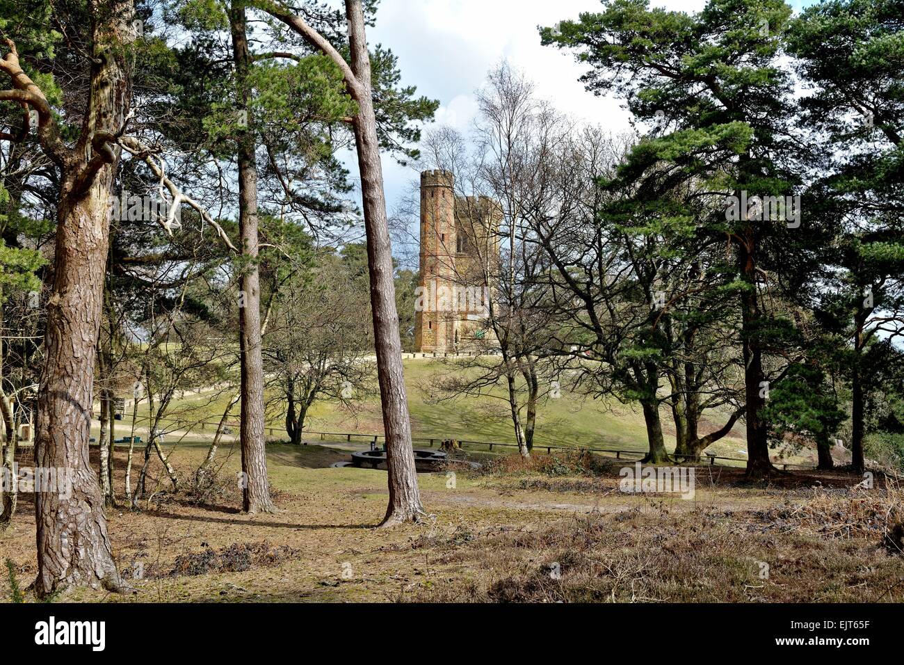 Leith Hill Tower Surrey Hills Dorking U.K Banque D'Images