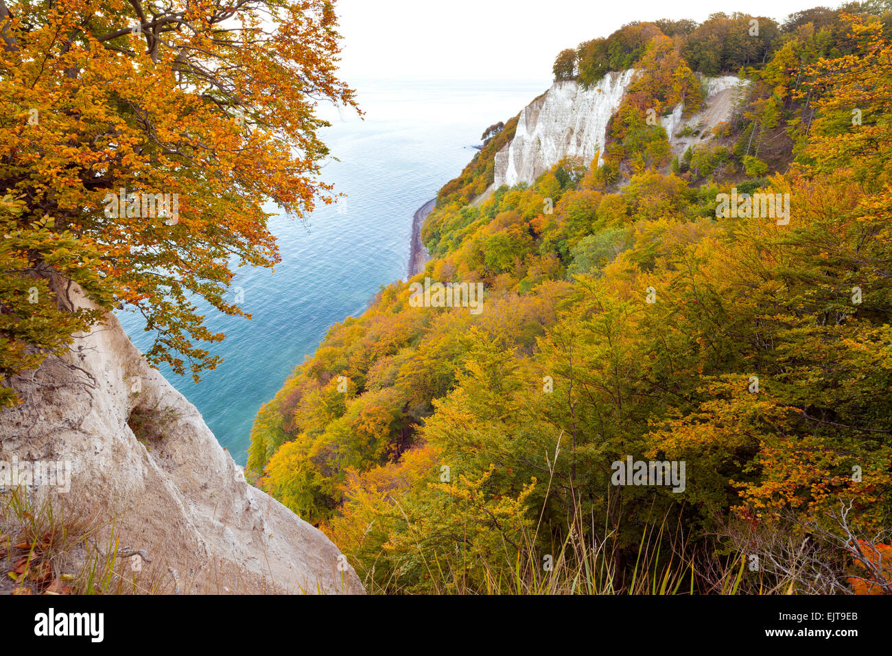 Vue depuis le haut de l'Koenigsstuhl (Président), du Roi, de l'île de Ruegen Stubbenkammer, Mecklenburg-Vorpommern, Allemagne. Banque D'Images