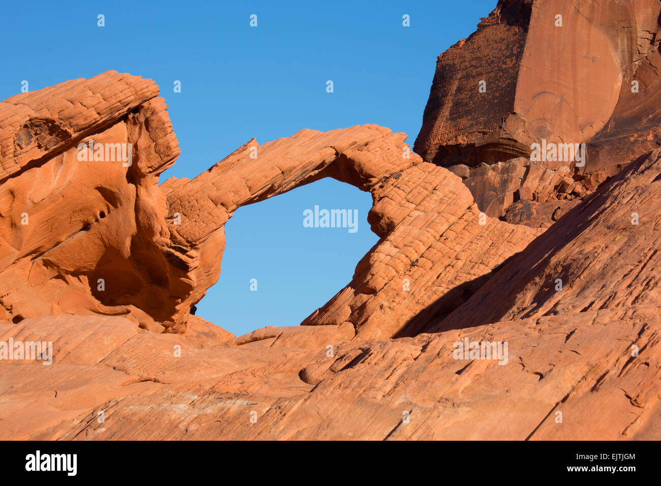 Un rocher naturel arch dans la Vallée de Feu, Nevada Banque D'Images