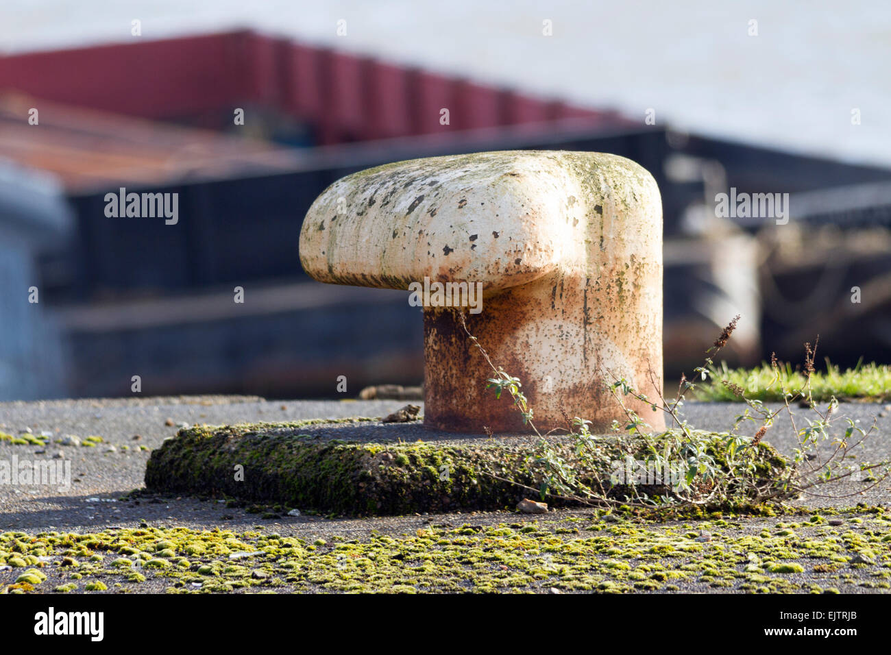 Bollard de rouille, de vieux docks, East India Dock Bassin, Londres Banque D'Images