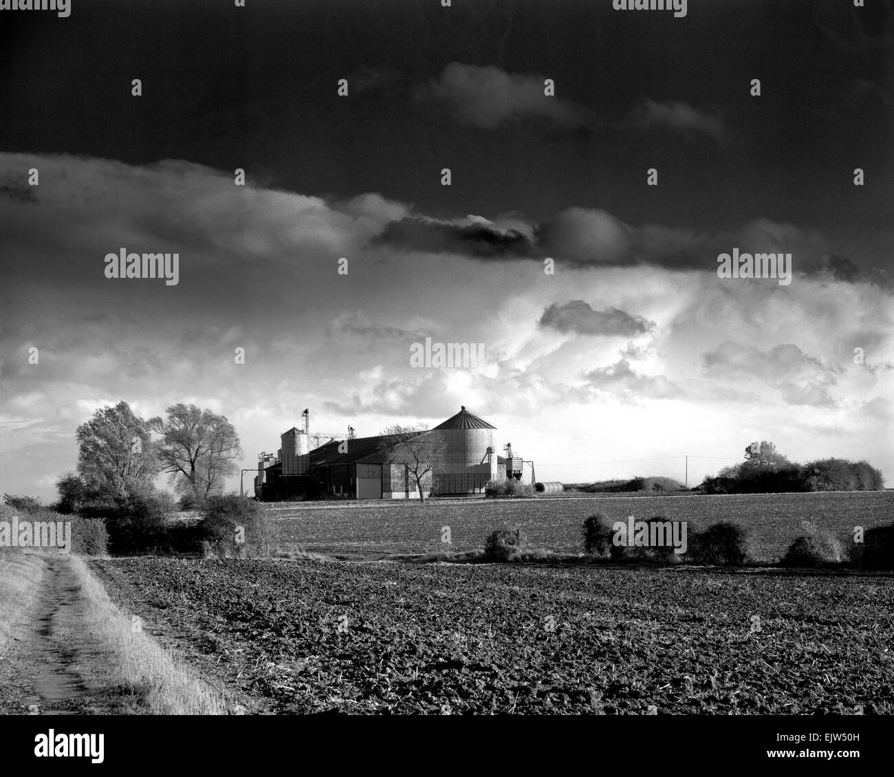 Silo à grains dans le Cambridgeshire sous ciel d'orage Banque D'Images