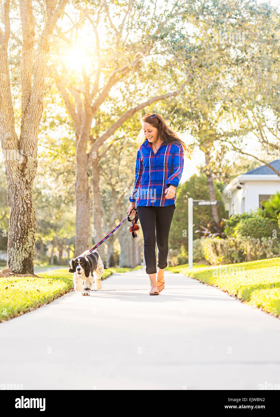 USA, Floride, Jupiter, femme, promener son chien Banque D'Images