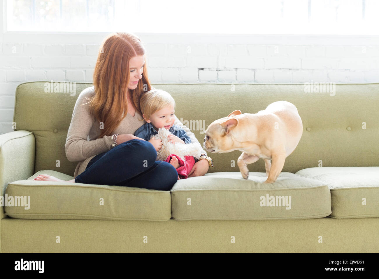 Mère et fils (2-3) sur le canapé en regardant le PUG Banque D'Images