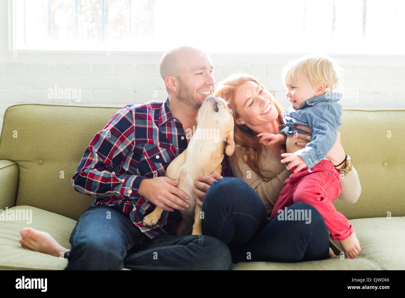 Famille avec son (2-3) et sur le canapé du pug Banque D'Images